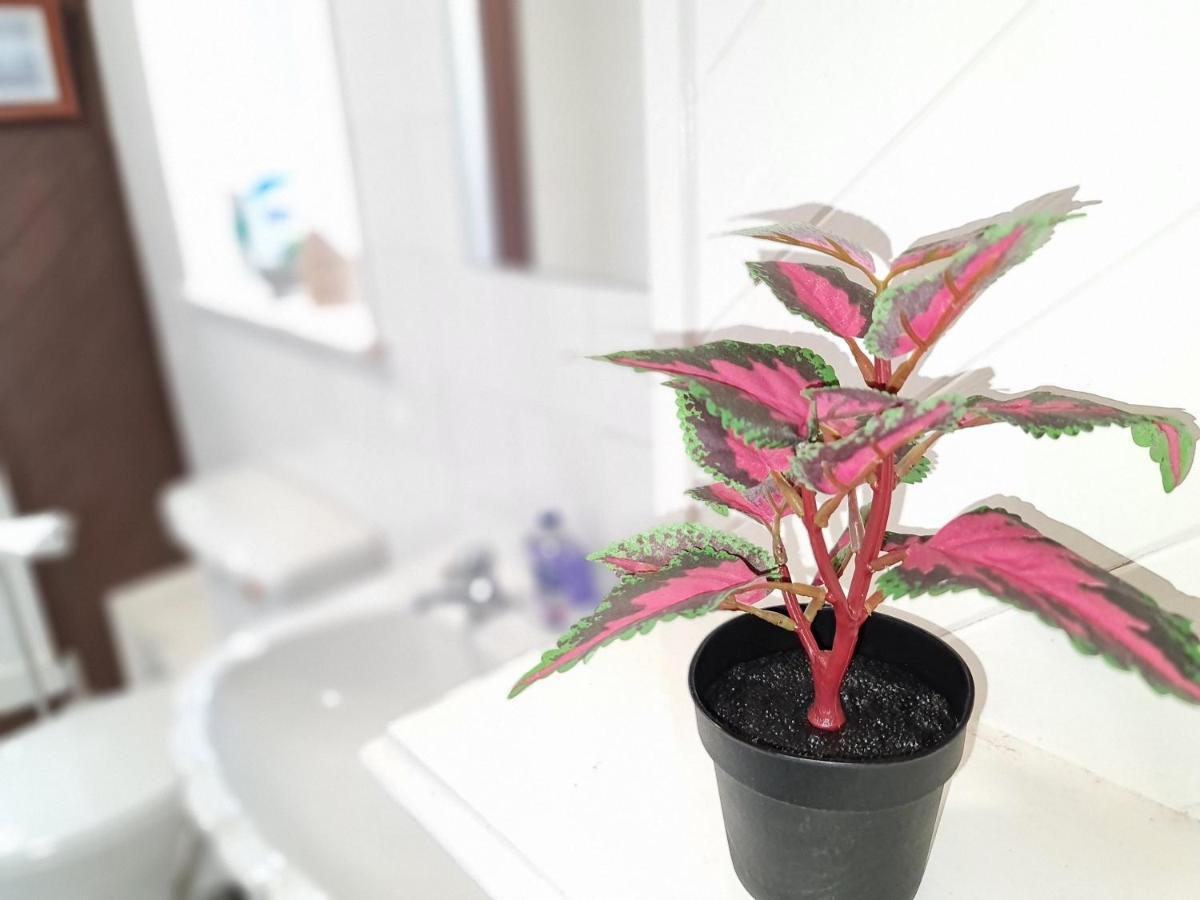 Large 3 Bed Flat, Free Parking Apartment Newcastle upon Tyne Ngoại thất bức ảnh